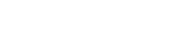 Camicado