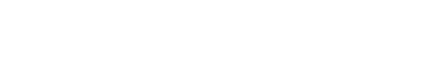 Netshoes